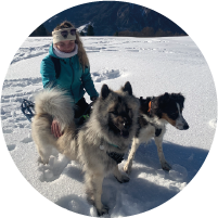 chien dans la neige
