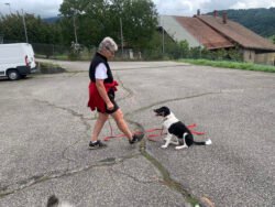 (c)chapitrecanin education canine savoie ugine (10)