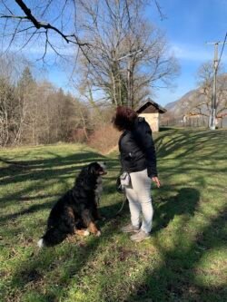 (c)chapitrecanin education canine savoie ugine (19)
