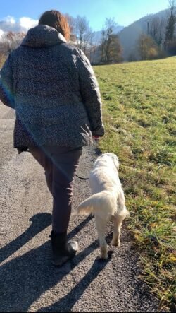 (c)chapitrecanin education canine ugine savoie positif (3)