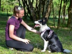 (c)chapitrecanin educateur canin ugine albertville savoie dressage chien jessica comportementaliste 73 éducatrice bienveillante éducation (2)