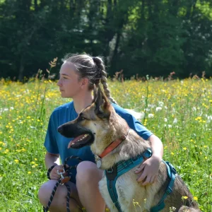 Cchapitrecanin educateur canin ugine albertville savoie dressage chien jessica comportementaliste 73 educatrice bienveillante education 5